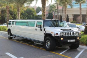 Why Choosing an NJ Limo for Executive Travel Makes Every Business Trip Smoother